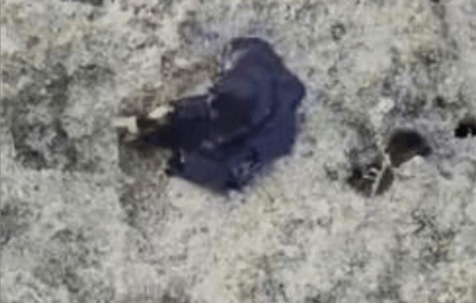 MISTERIOZNO BIĆE SE POJAVILO NA PLAŽI: Šta to napada krabu? (VIDEO)